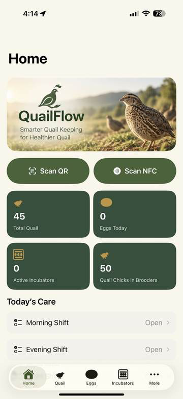 QuailFlow Home screen